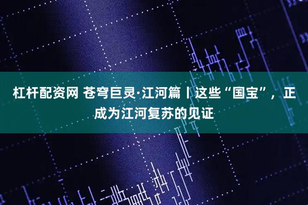 杠杆配资网 苍穹巨灵·江河篇丨这些“国宝”，正成为江河复苏的见证