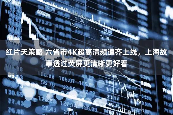 红片天策略 六省市4K超高清频道齐上线，上海故事透过荧屏更清晰更好看