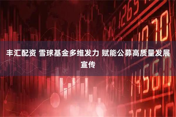 丰汇配资 雪球基金多维发力 赋能公募高质量发展宣传