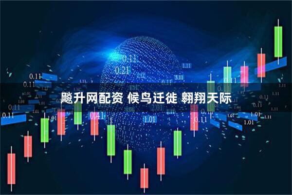 飚升网配资 候鸟迁徙 翱翔天际